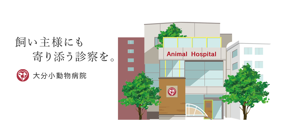 大分小動物病院
